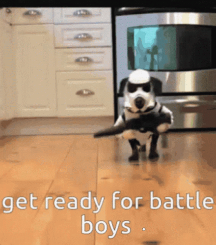 Dog in Stormtrooper Costume Walking