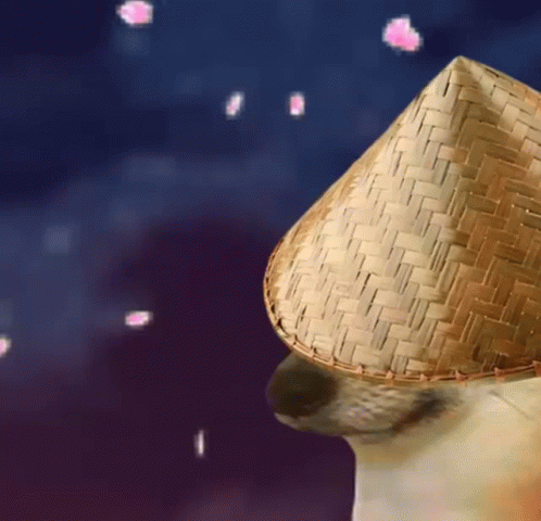Dog In Straw Hat With Pink Petals GIF