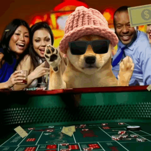 Dog In Sunglasses And Hat Playing Roulette GIF