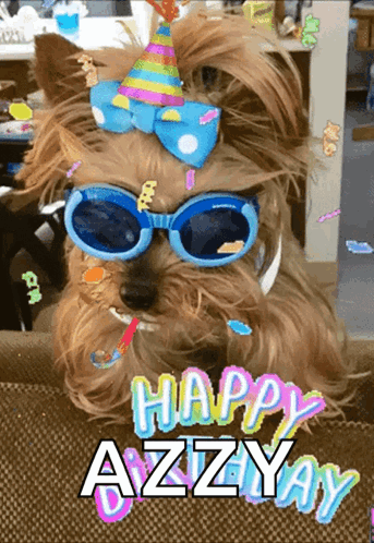 Dog in Sunglasses and Party Hat Happy Azzyay