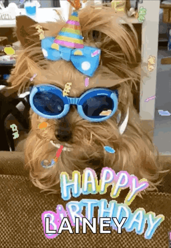 Dog in Sunglasses and Party Hat Says Happy Birthday Lainey