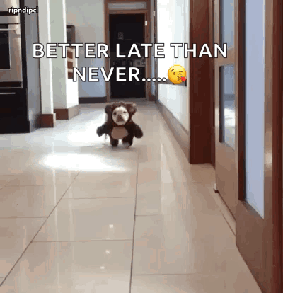 Dog In Teddy Bear Costume Running Better Late Than Never GIF