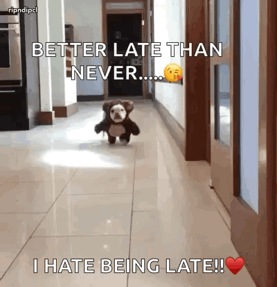 Dog in Teddy Bear Costume Running Better Late Than Never