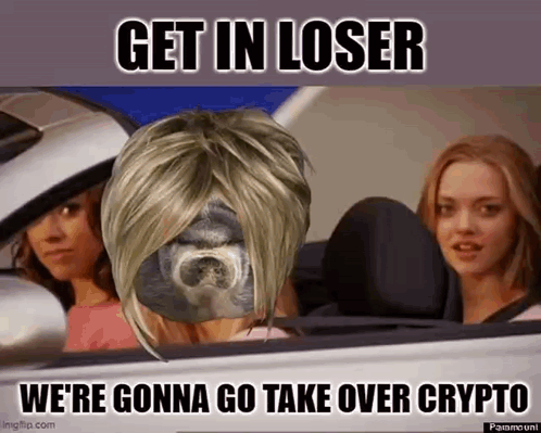 Dog In Wig Sitting In Car GIF