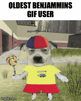Dog in Yellow Shirt and Red Shorts Holding Lollipop