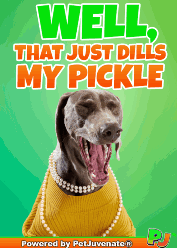 Dog In Yellow Sweater And Pearls Saying Well That Just Dill My Pickle GIF