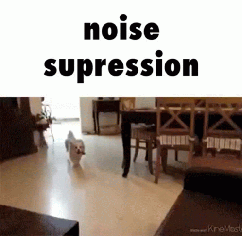 Dog Jump Fail Noise GIF