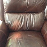 Dog Jumping Couch Cute Animal Reaction GIF