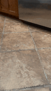 Dog Jumping Dog-jumping Gif GIF