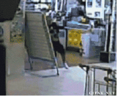 Dog Jumping Over Ladder in Store Saying GIF.net