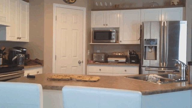 Dog Jumping To Reach Cookies GIF