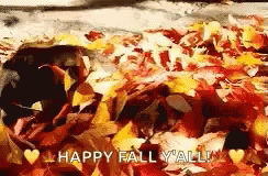 Dog Laying in Leaves Happy Fall Yall