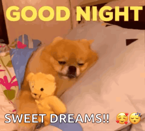 Dog Laying On Bed With Teddy Bear GIF