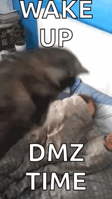 Dog Licking Child's Face in Bed
