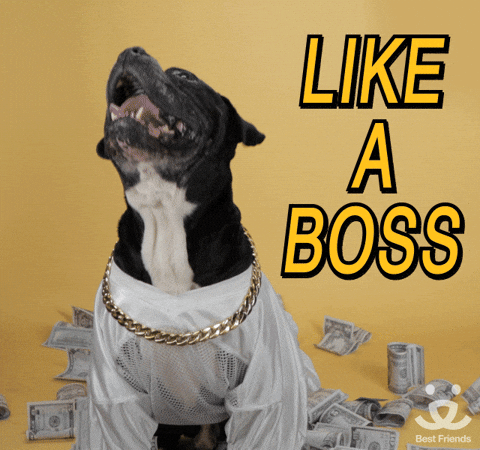Dog Like Boss Makes A Dollar I Make A Dime GIF