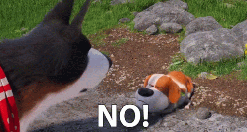 Dog Looking at Another Dog Saying No