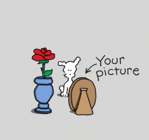 Dog Looking at Picture Frame Saying Your Picture