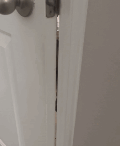 Dog Looking Through Door With Bottle on Cart