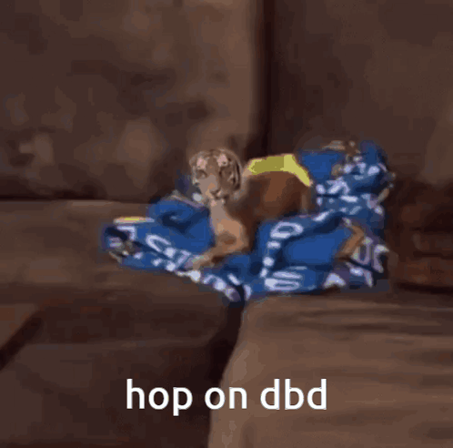 Dog Looks Like Tiger Hop on DBD