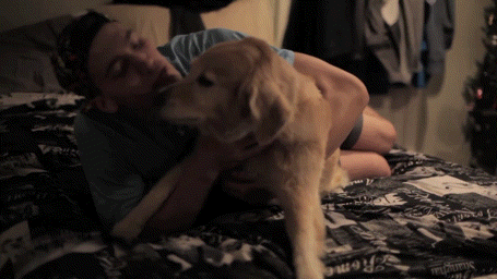 Dog Love Pet Licking Owner On Cheek GIF
