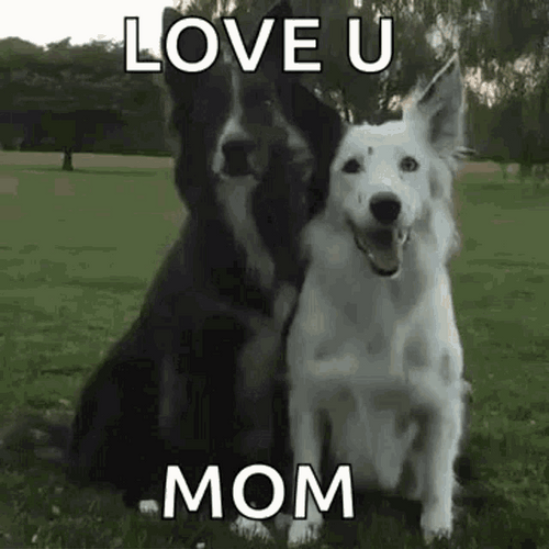 Dog Love U Mom GIF