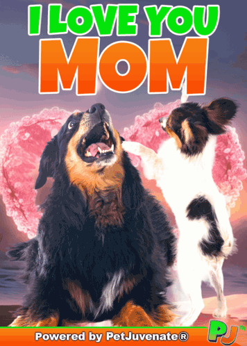 Dog Lying Next to Happy Mom Balloon