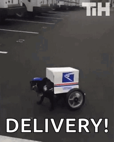 Dog Mailman Driving With Box On Back GIF