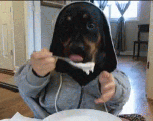 Dog Man Chaotic Eating GIF