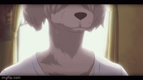 Dog Man Collot Beastars Anime GIF