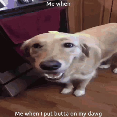 Dog Me When Me When I Put Butta On My Dawg