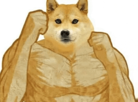 Dog Meme Big Body Fighter GIF