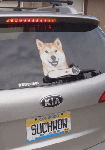 Dog Meme Car Wiper GIF