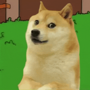 Dog Meme Hiding On The Bush GIF