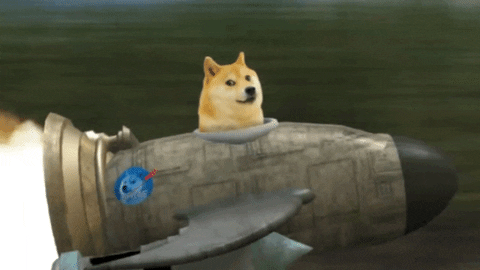 Dog Meme Spaceship Rocket GIF