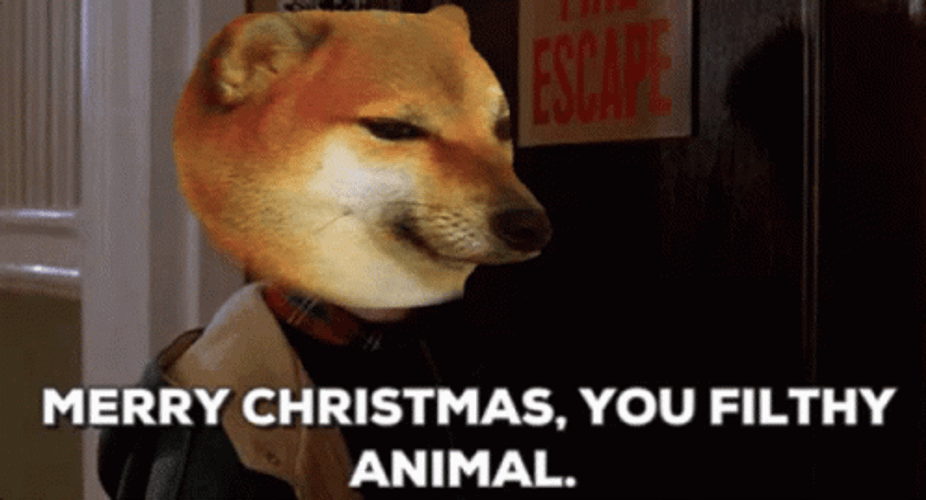 Dog Merry Christmas You Filthy Animal GIF