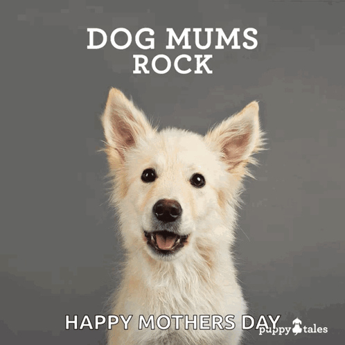 Dog Moms Rock Happy Dog Mother's Day GIF