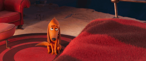 Dog Moose Batting Eyes GIF