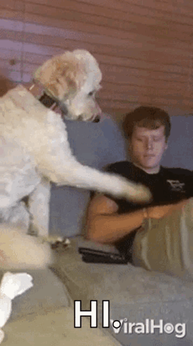 Dog Next to Man on Couch Saying Hi Viralhog