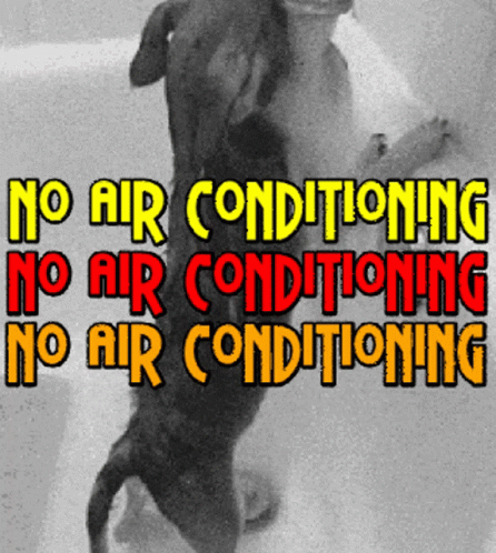 Dog No Air Conditioning GIF