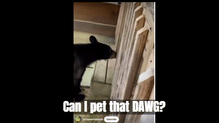 Dog on Balcony Saying Can I Pet That Dawg