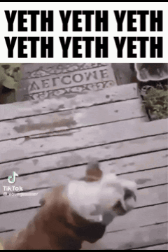 Dog on Deck with Welcome Sign