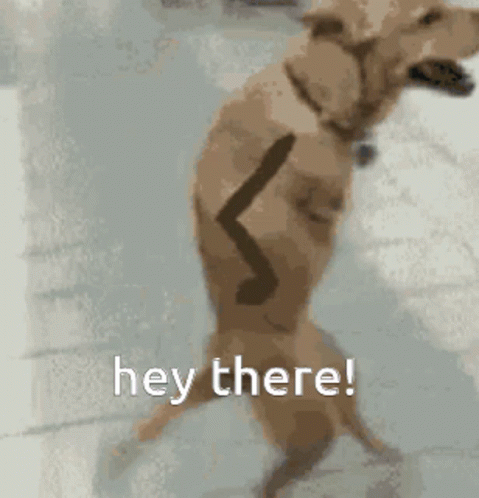 Dog on Hind Legs Saying Hey There