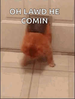 Dog on Hind Legs Saying Oh Lawd He Comin