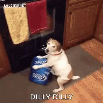 Dog On Hind Legs With Bud Light Beer Cans GIF