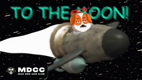 Dog On Rocket To The Moon GIF