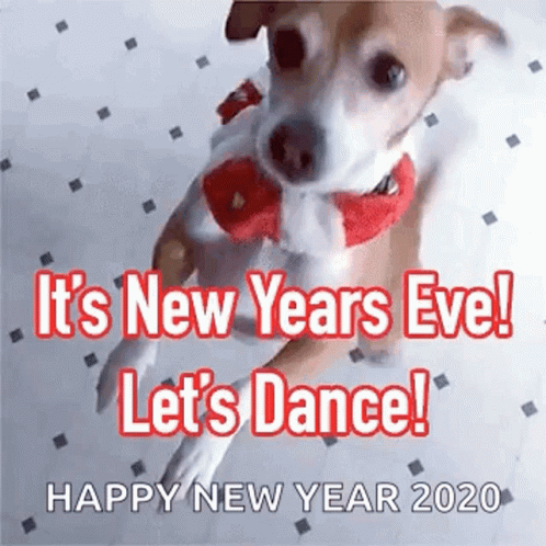 Dog Party Hard Cute Happy New Year GIF