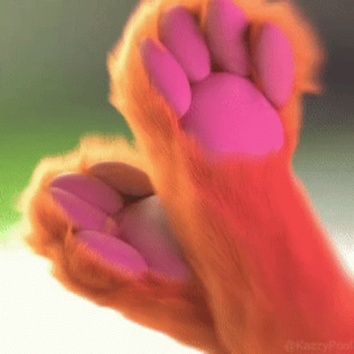 Dog Paw With Pink Nails