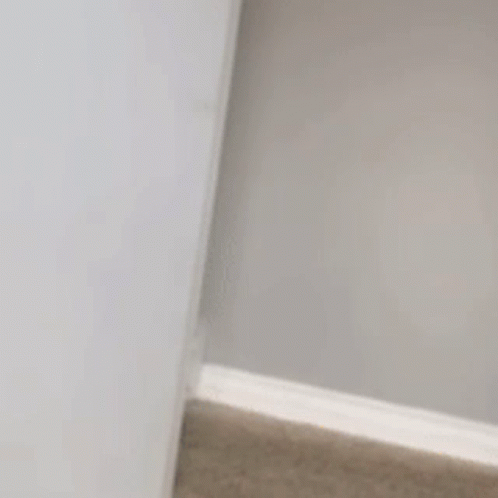 Dog Peeking From Behind Wall GIF