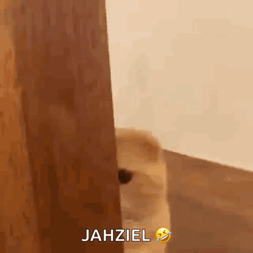 Dog Peeking Out Behind Wooden Door Jahziel