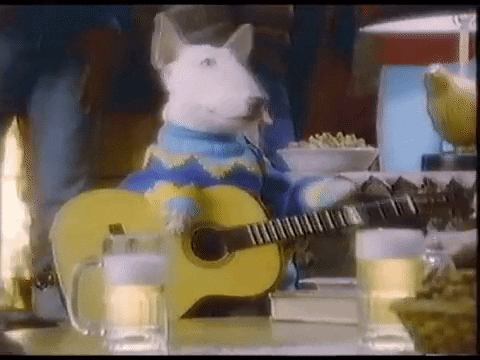 Dog Playing Guitar Rock Star GIF